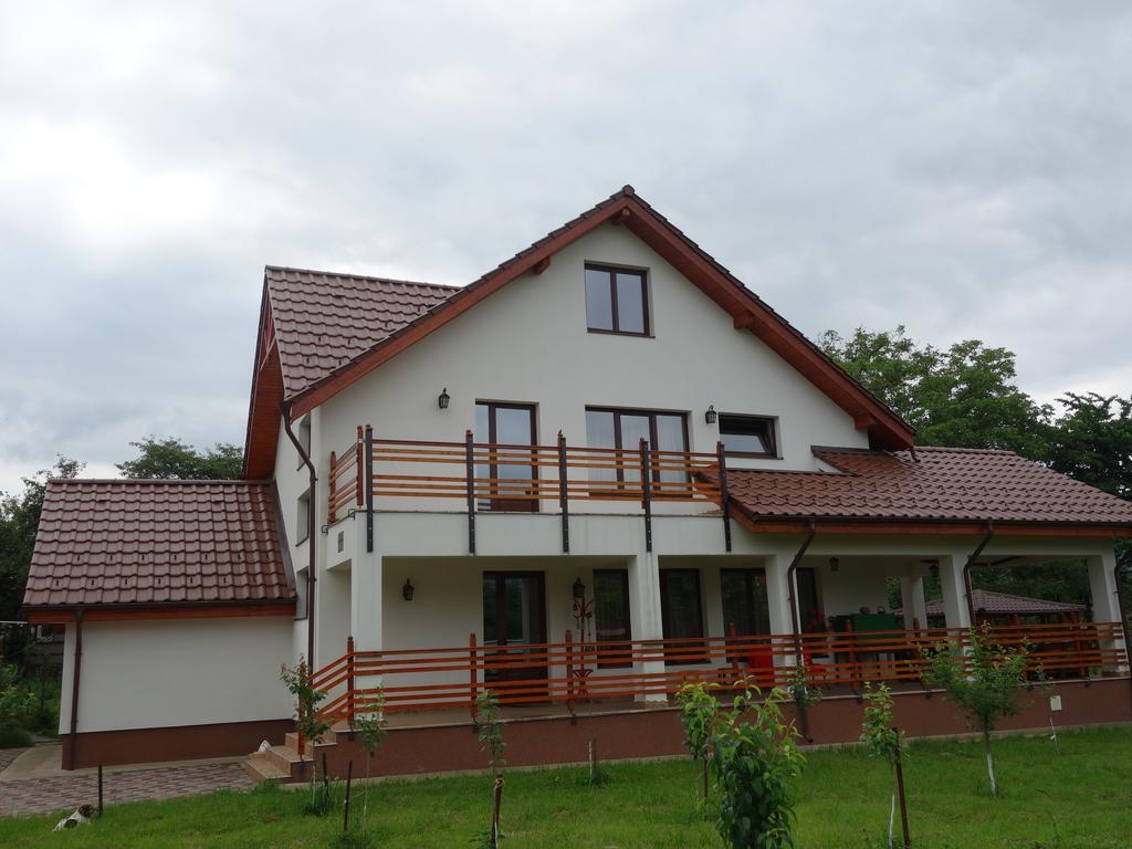Pensiunea Tania-Nora Alexandru cel Bun Exterior foto